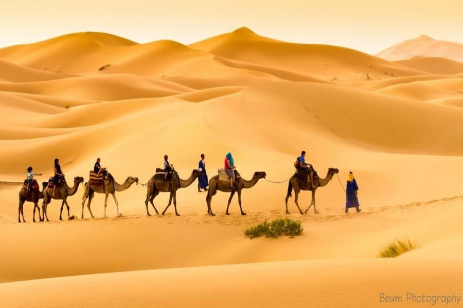 4 days desert tour from fez to Marrakech